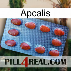 Apcalis 06